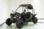 125cc Off road buggy - PRE ORDER NOW