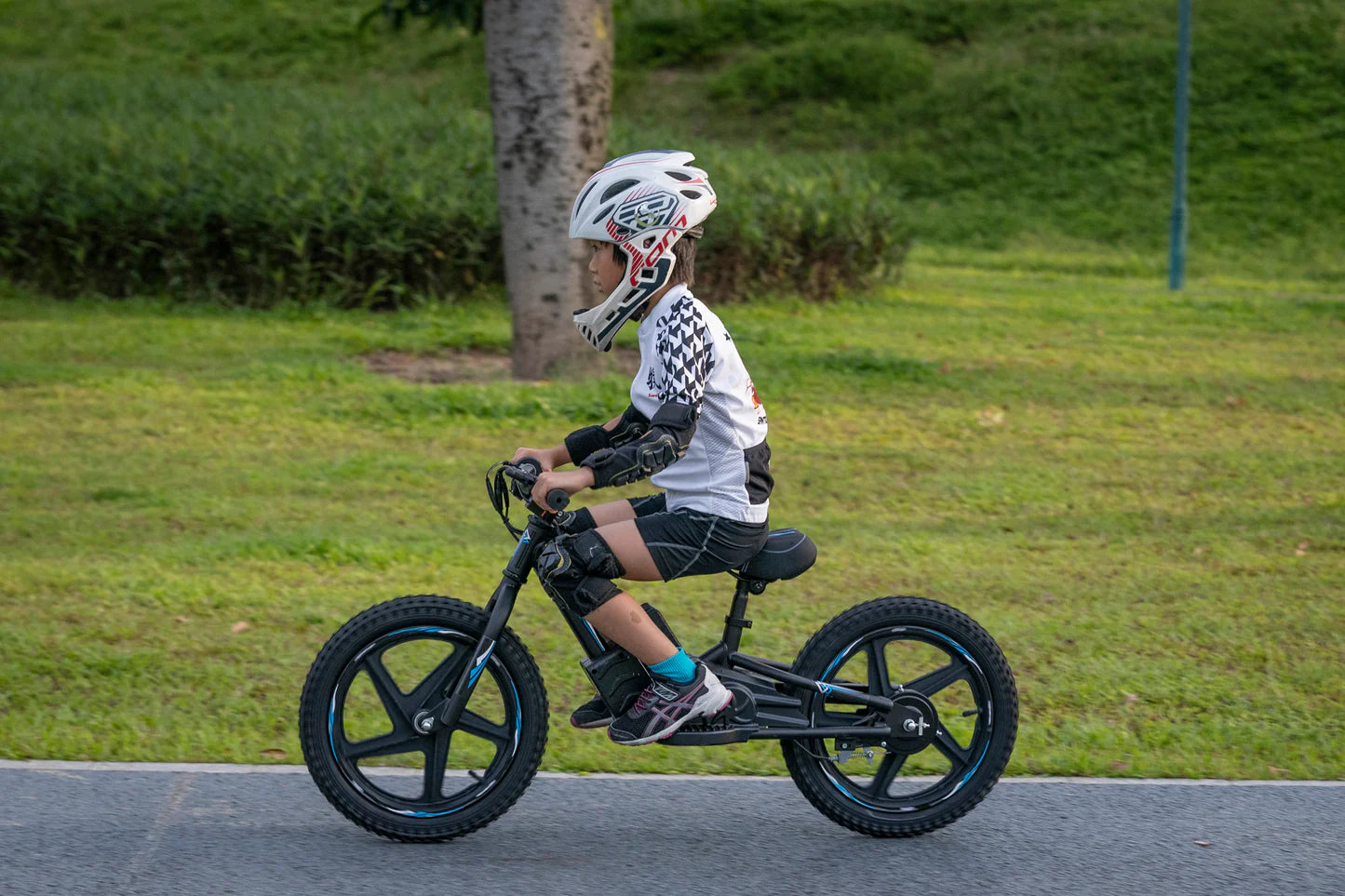DHZ 16" 400W Electric Balance Bike, Removable Battery, Brushless Motor