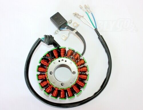 18 Pole Magneto Stator Roller Flywheel 200cc 250cc Engine PIT Quad Dirt Bike ATVx