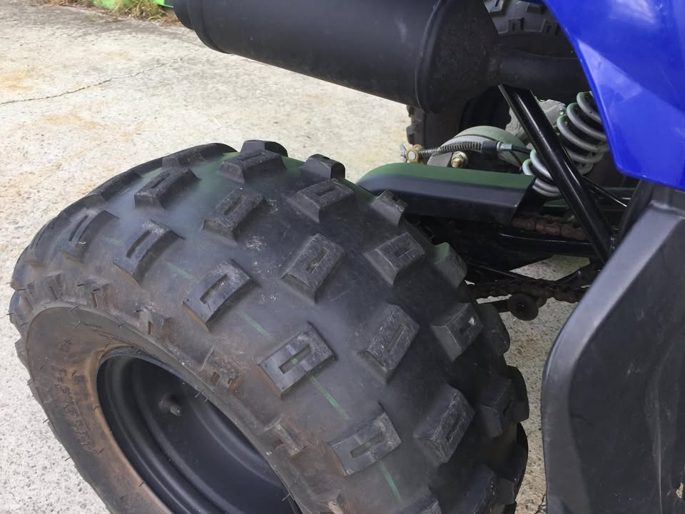 Yamaha Raptor YFM 90cc ATV- 2016 model - Great nic.. Just serviced & ready to ride
