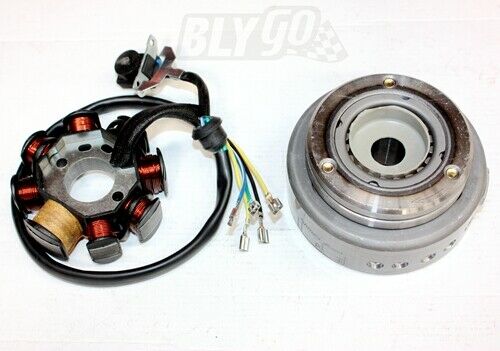 8 Poles Magneto Stator Roller Flywheel 250cc Engine PIT Trail Quad Dirt Bike ATV