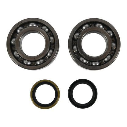 All Balls Racing Crankshaft Bearing Kit (24-1122)