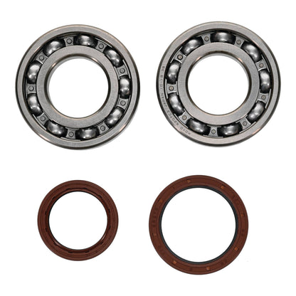 All Balls Racing Crankshaft Bearing Kit (24-1123)