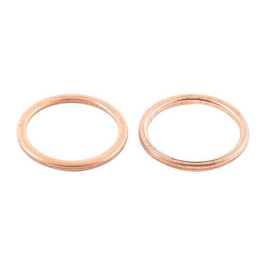 Exhaust Gasket Kit 823048