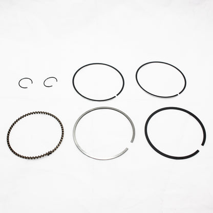 67mm 16mm Pin Piston Rings Kit SHINERAY CG250cc Engine PIT Quad Dirt Bike ATV