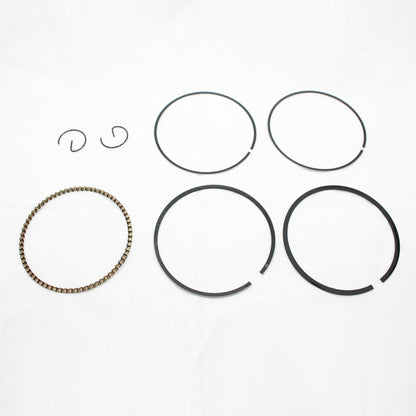 69mm 17mm Pin Piston Ring Kit ZHONGSHEN CB250cc Engine PIT Quad DIRT BIKE ATV