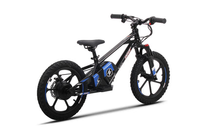 DHZ 16" 800W Electric Balance Bike, Removable Battery, Brushless Hub Motor