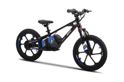 DHZ 16" 800W Electric Balance Bike, Removable Battery, Brushless Hub Motor