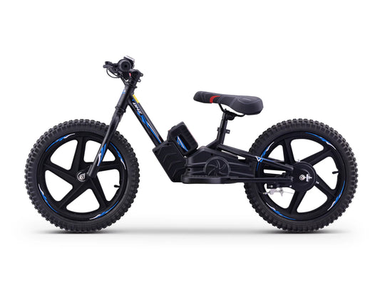 DHZ 16" 400W Electric Balance Bike, Removable Battery, Brushless Motor