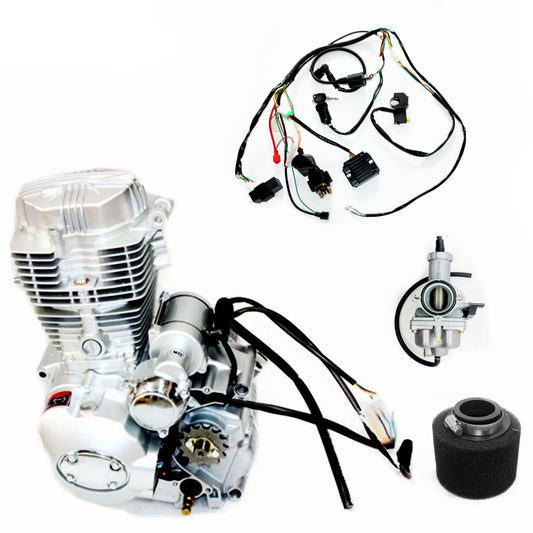 Shineray 250cc Manual Clutch Engine Motor + Wiring Kit + Carb Quad Dirt Bike ATV