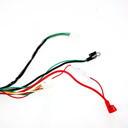 Engine AC Wiring Harness Wiring Loom 150cc 250cc PIT Quad Dirt Bike ATV Buggy A