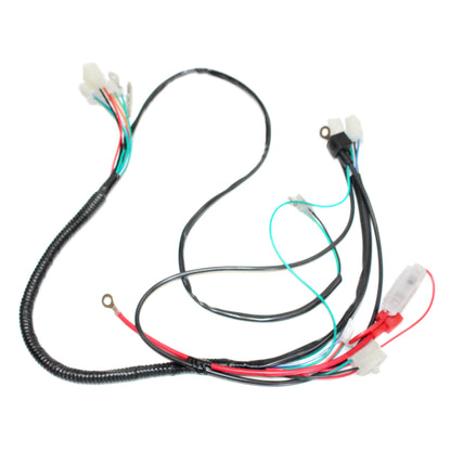 Engine DC Wiring Harness Wiring Loom 200cc 250cc PIT Trail Dirt Quad Bike Buggy