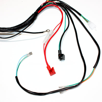 Engine AC Wiring Harness Wiring Loom 150cc 250cc PIT Quad Dirt Bike ATV Buggy C