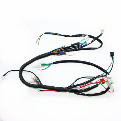 Rec Reg Engine Wire Wiring Harness Loom+ light wires 125cc PIT Trail Dirt Bike