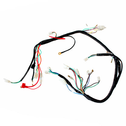 Electric Start Engine Wire Wiring Harness Loom PITPRO Quad Dirt Bike ATV Buggy B