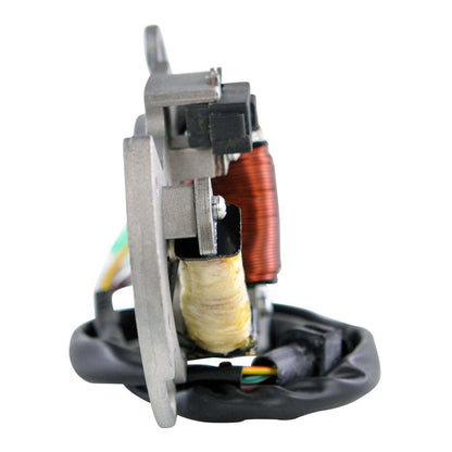 HIGH OUTPUT STATOR YAM YFS200