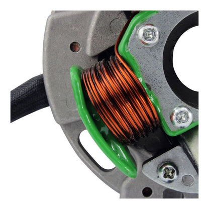 STATOR SUZUKI RMX 250 1989 -1998 (RM01385)