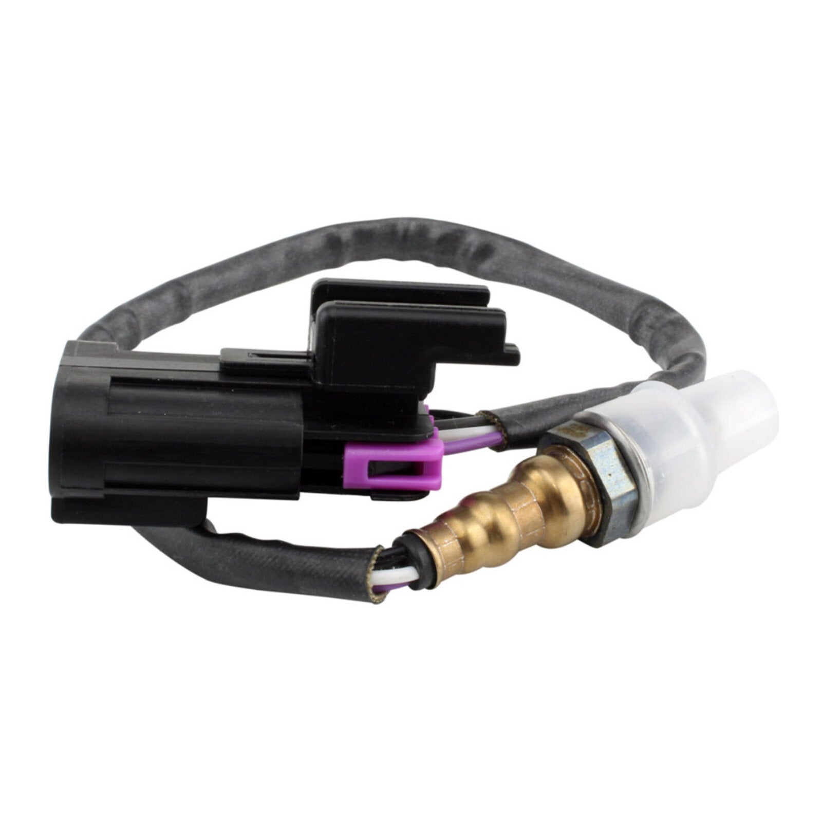 OXYGEN SENSOR ASSTD POL / INDIAN RFR FITMENT (RMS140-106694) – Buzz Bikes