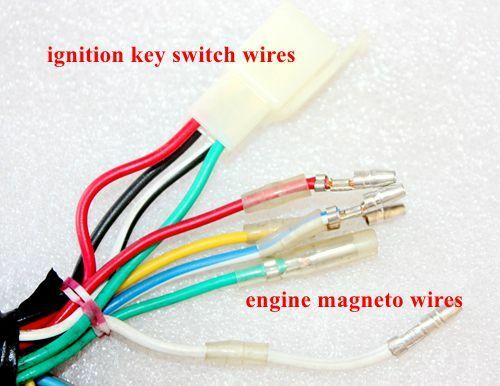 Rec Reg Engine Wire Wiring Harness Loom+ light wires 125cc PIT Trail Dirt Bike