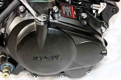 Shineray 250cc Electric Start Air Cooled Manal Clutch Engine Motor PIT DIRT BIKE