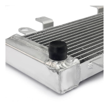 Whites Radiator Kawasaki Ninja 250R '09-'12