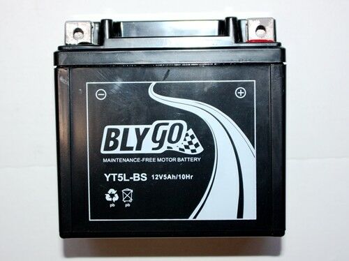 YT5L-BS 12V 5AH Battery 110cc 125cc PIT PRO TRAIL DIRT QUAD BIKE ATV BUGGY